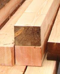 Timbers
